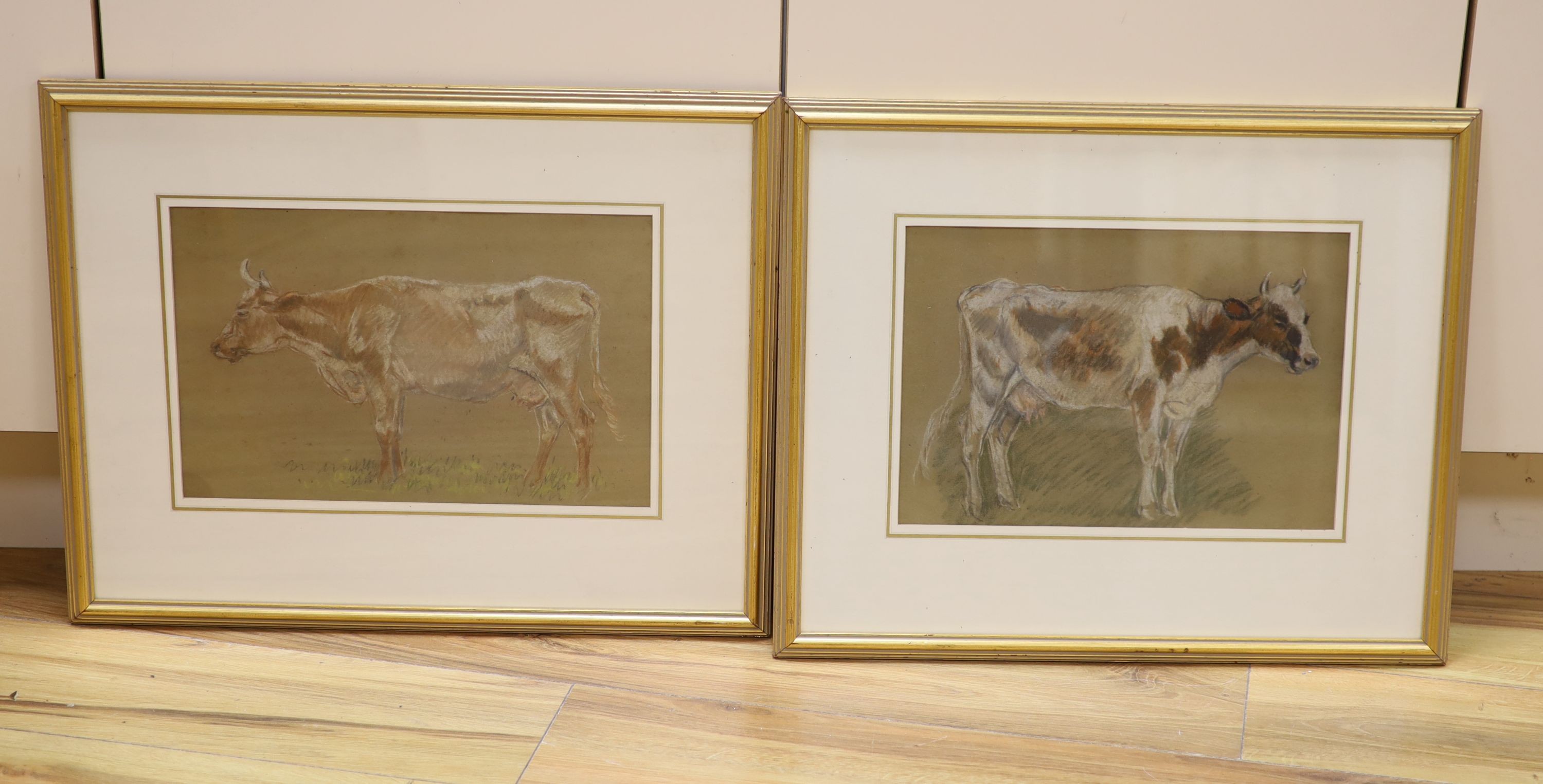 Margaret Fisher Prout (1875-1963), two pastel drawings, Studies of cows, Abbott & Holder labels verso, 23 x 33cm